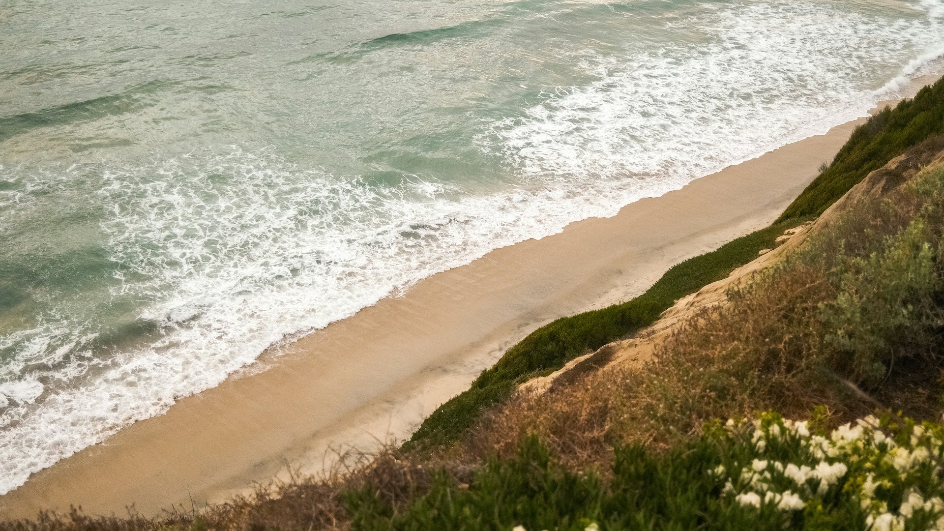aerial view of the beach shore